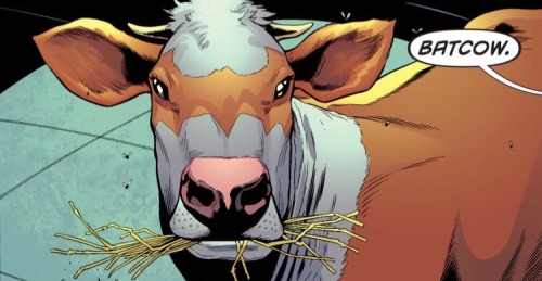 Batcow