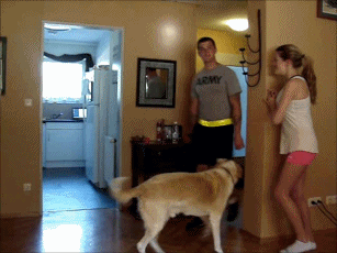 awesomephilia:a-fit-mind:armedforceslove:Attempted scaring my husband coming home from work, he knew