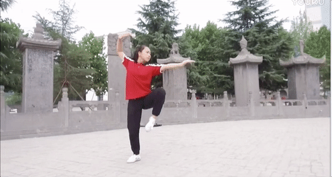 Girl’s Wushu: Yang Ruofei - HenanCha Quan performance.20 June 2017, Shaolin Tagou