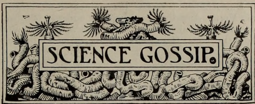 nemfrog:Column headers. Science Gossip. 1900.Internet Archive