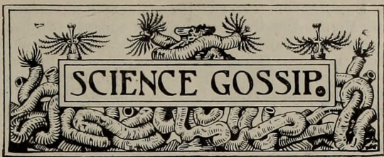 Column headers. Science Gossip. 1900. Internet Archive