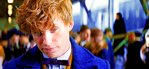 allfantasticbeasts: “British, huh? First trip to New York?”