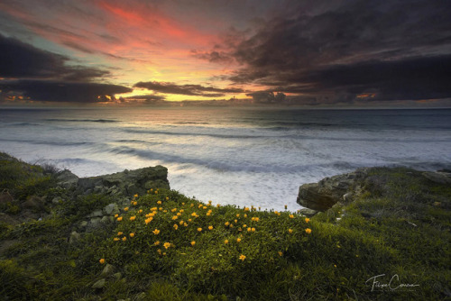 Photographer  Filipe Correia (Portugal)  500px  Facebook   National Geograp