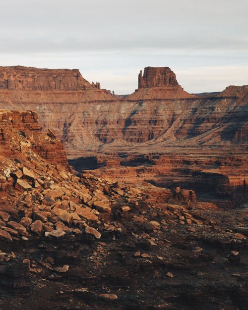 dirtlegends:  The desert is my homeboy.http://scottchanninghall.vsco.co/Instagram: @scottchanning