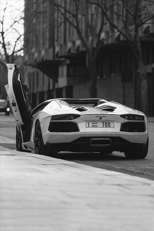 336571:  Lamborghini Aventador Roadster 