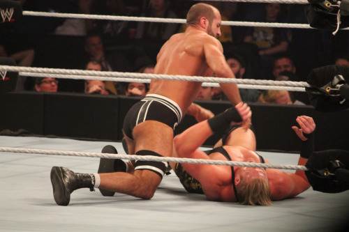 XXX rwfan11:  Antonio Cesaro (x) photo