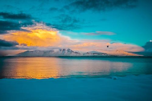 Oneshotolive:  Reykjavik, Iceland[4288 × 2848] [Oc] 📷: Liveonlytodie 