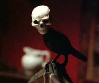 Skull bird