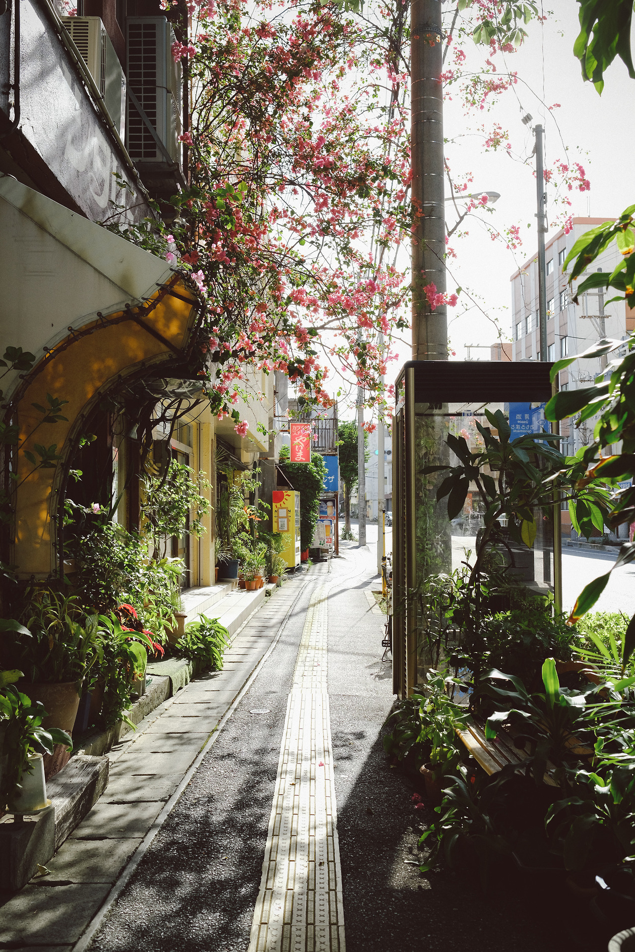 masanoritsuchiya: インタリュード | Instagram | Facebook | Okinawa Photowalk
