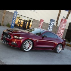 musclefords:  @igfords #ford#Mustang#SVT tag-&gt; #american_muscle_mustangs new #Shelby Super Snake