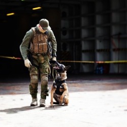 refactortactical:  RE Factor Tactical  “If your dog doesn’t like someone you probably shouldn’t either.” 