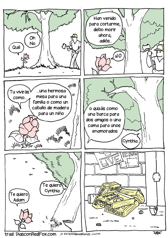 Bear's House