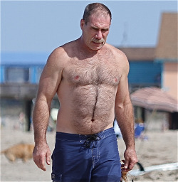 Bears, daddy, handsome older man, mature