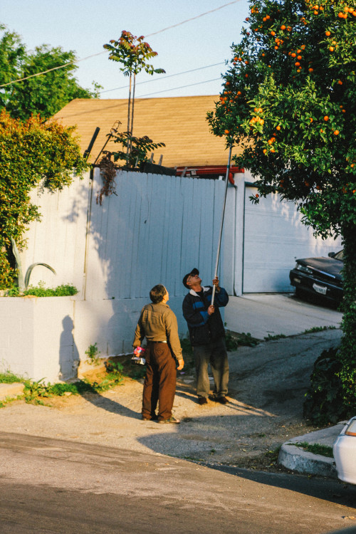 matthewgrantanson: Fresh Picked, Los Angeles – April 3rd, 2020Instagram