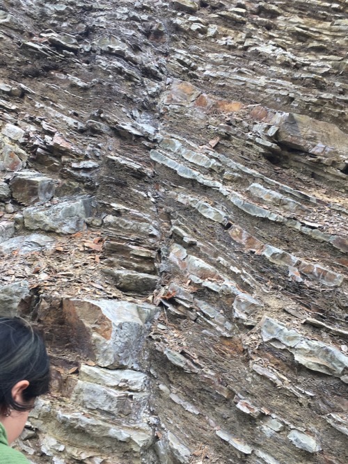 the-tales-of-a-geology-student:Here are some pictures from a recent geology field trip. There’s a bi