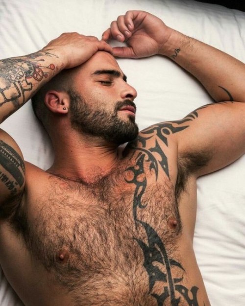 Hunk Of The Day