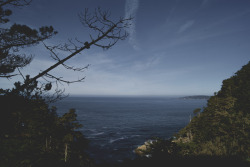 northwezt:  Whaler's Knoll, Point Lobos (Jan. 1, 2014) 