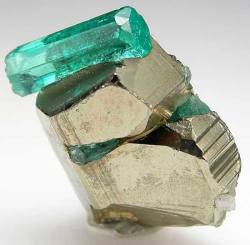 earthstory:  Emerald and pyrite sandwichThe bright green variety of beryl originates from an unusual concatenation of geological events, in which rocks that are not normally found together are juxtaposed by tectonic forces and interact via the medium