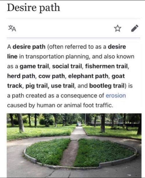 tunashei:teathattast:I love desire paths. porn pictures