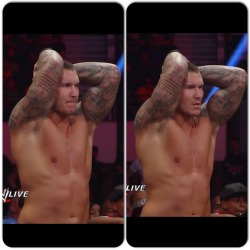 loveortongirl: i miss this old look fat orton of 2013 &lt;3