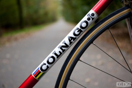 bikeplanet:  Colnago Pista by ciclicorsa adult photos
