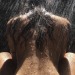 meet-my-soul:
