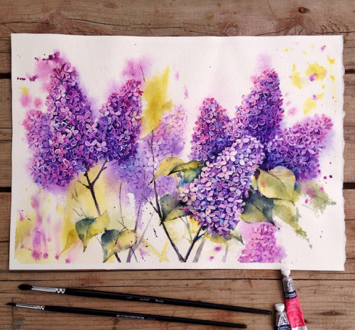 Porn sixpenceeeblog:    In her exquisite watercolors, photos