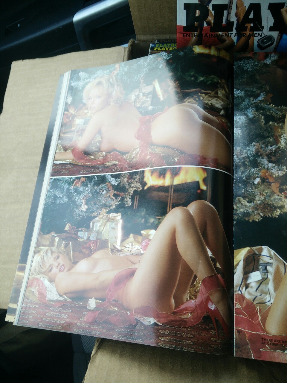 playboyplaymateofthemonth:  December 2002