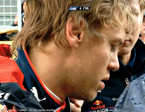 Sebastian Vettel During The Red Flag, Korea - October 24, 2010