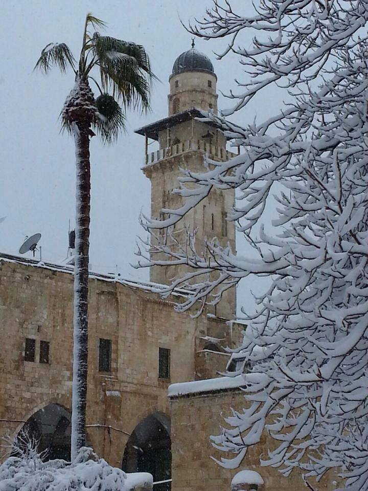 tamarrud:Al Aqsa this morning covered in snow and looking as majestic as ever
