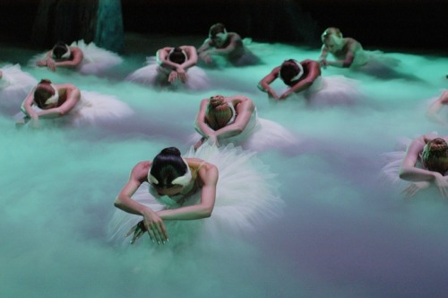 ele-bee:Boston Ballet in “Swan Lake.” Photo by Eric Antoniou.
