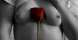 immoreofanaddictionthanaddicted:  Roses are red…