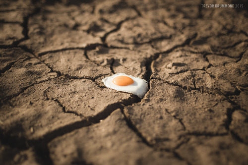 “Sunny Side Up”by Trevor DrummondBUY PRINTS - TUMBLR - INSTAGRAM - FLICKR - FACEBOOK