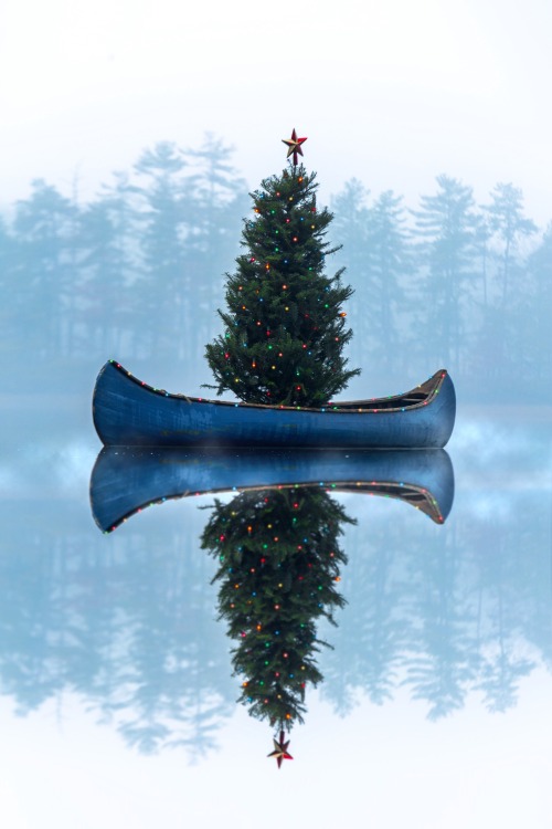 kieljamespatrick - Canoeing around the Christmas tree, have a...