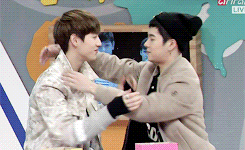 ughjacksonwang:markson being markson afI can’t even I literally can’t even I am not capa