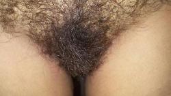 Hairy Women Pussy