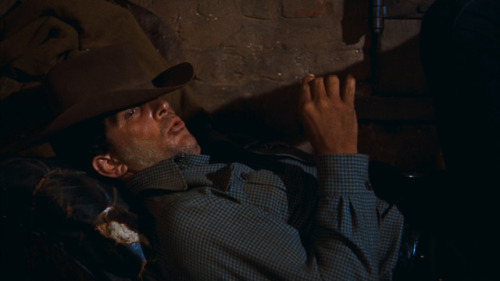 Happy BirthdayDean Martin 1917-1995Rio Bravo [USA 1959, Howard Hawks]