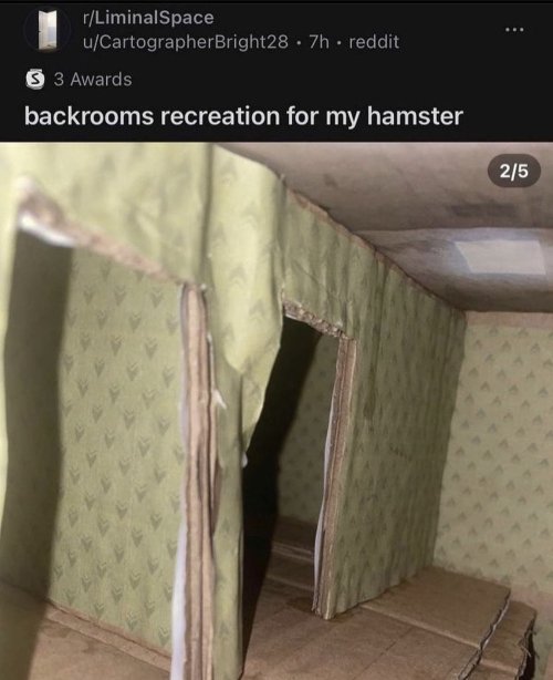 The Average Hamster Owner Is Close Friends With Jigsaw