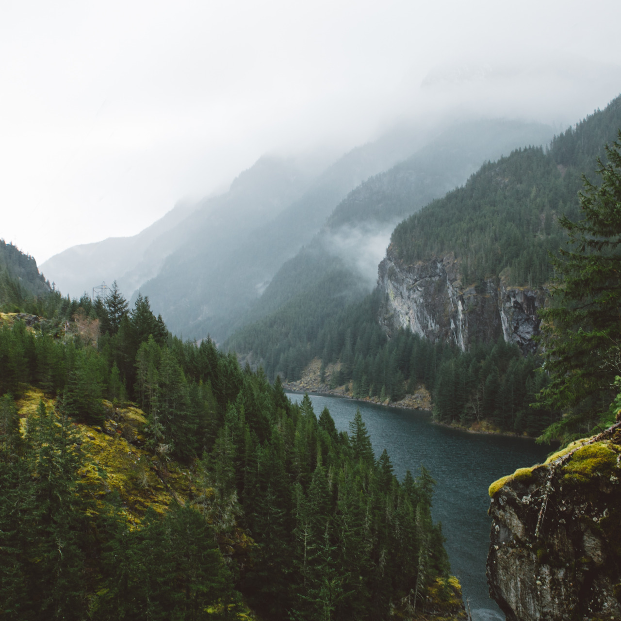 eartheld:  mostly nature