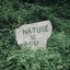 naturescalendar