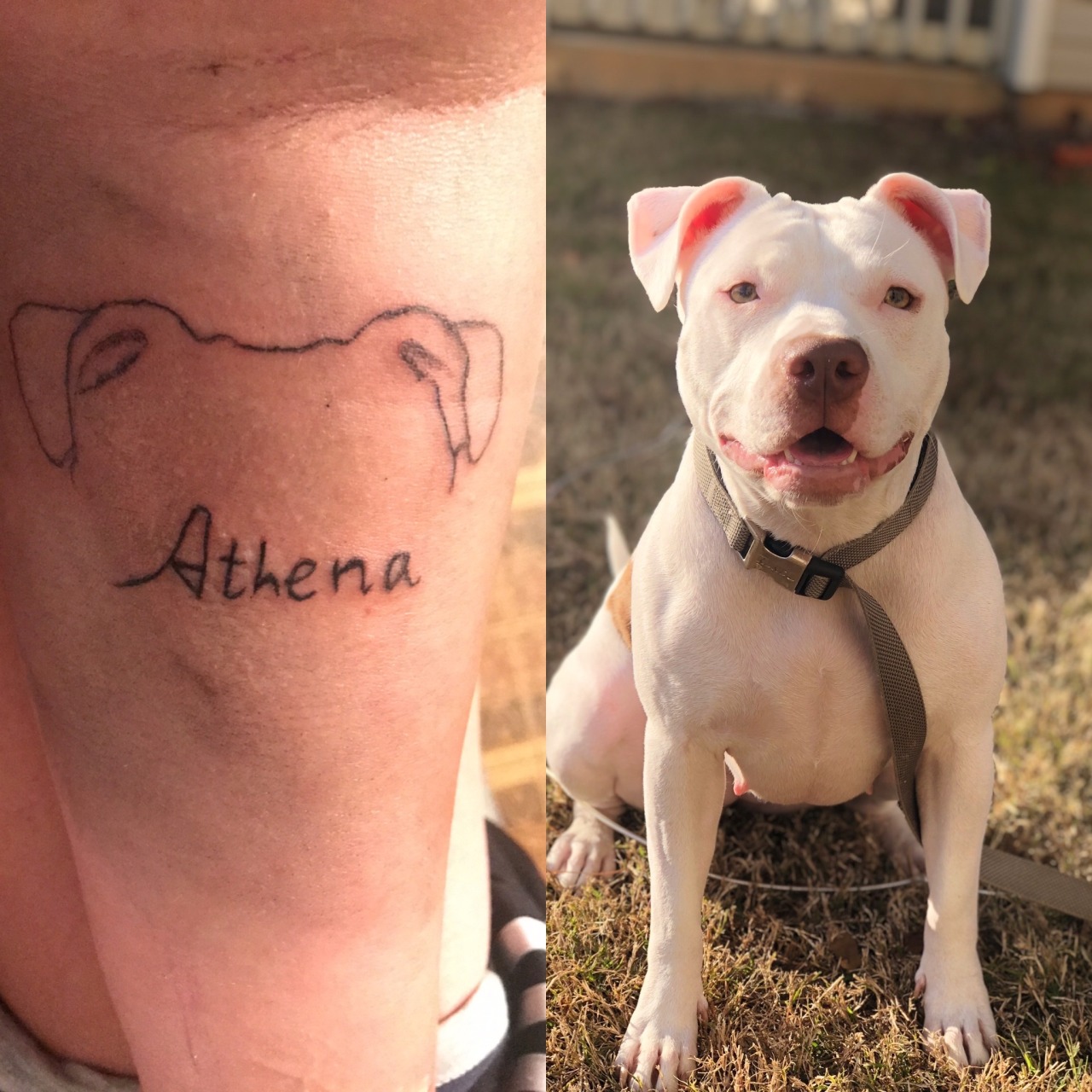 BarkBox Is Giving Away Free Tattoos So I Got A Minimalist Dog Tattoo
