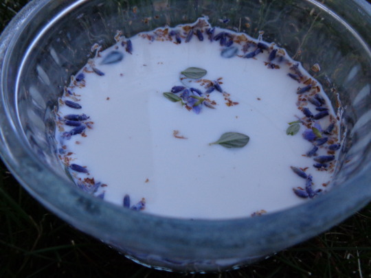 🌻 fae offerings for beltane 🌻