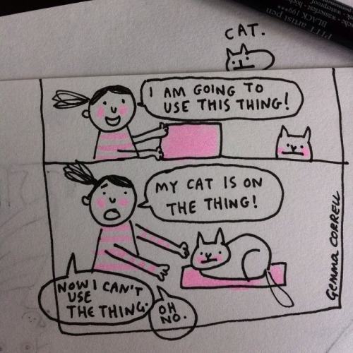 gemmacorrell:Generic cat comic.
