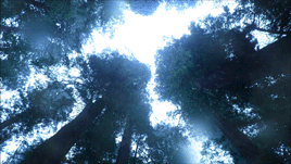 mimi-pearlbaton:  “I should have heeded the ancient’s warning. Nothing can withstand