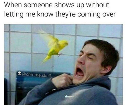 introvertproblems:  Like or Reblog if you can relate to any of These!JOIN THE INTROVERT