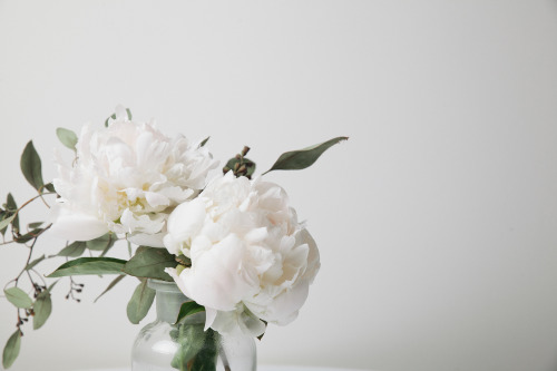 fawndeviney:  Testing my studio lights with these beauties