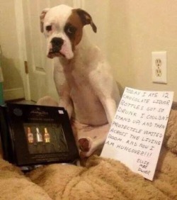 awwww-cute:  The face of regret