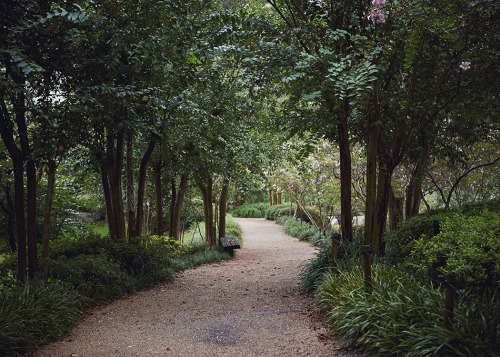 Japanese Gardens… My love for plants and all things beautiful took me to the Japanese Garden 