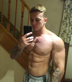 billyraysorensen:  Muscled beauty … 