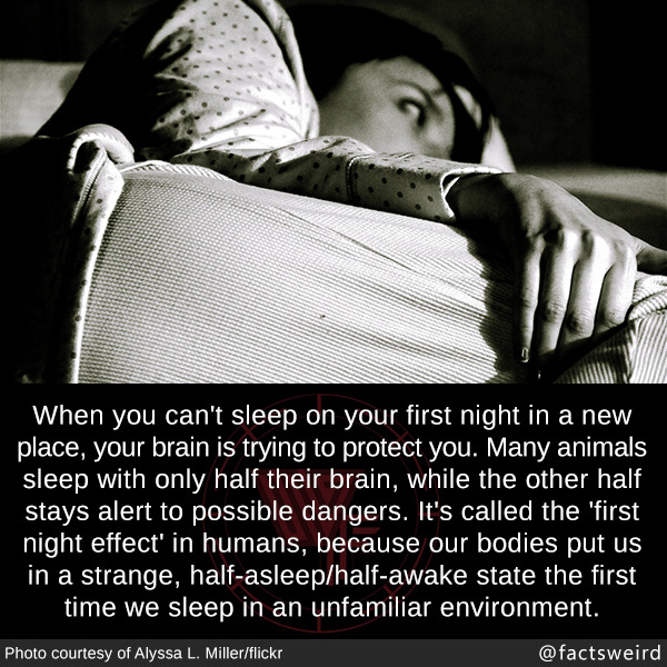 mindblowingfactz:  When you can’t sleep on your first night in a new place, your